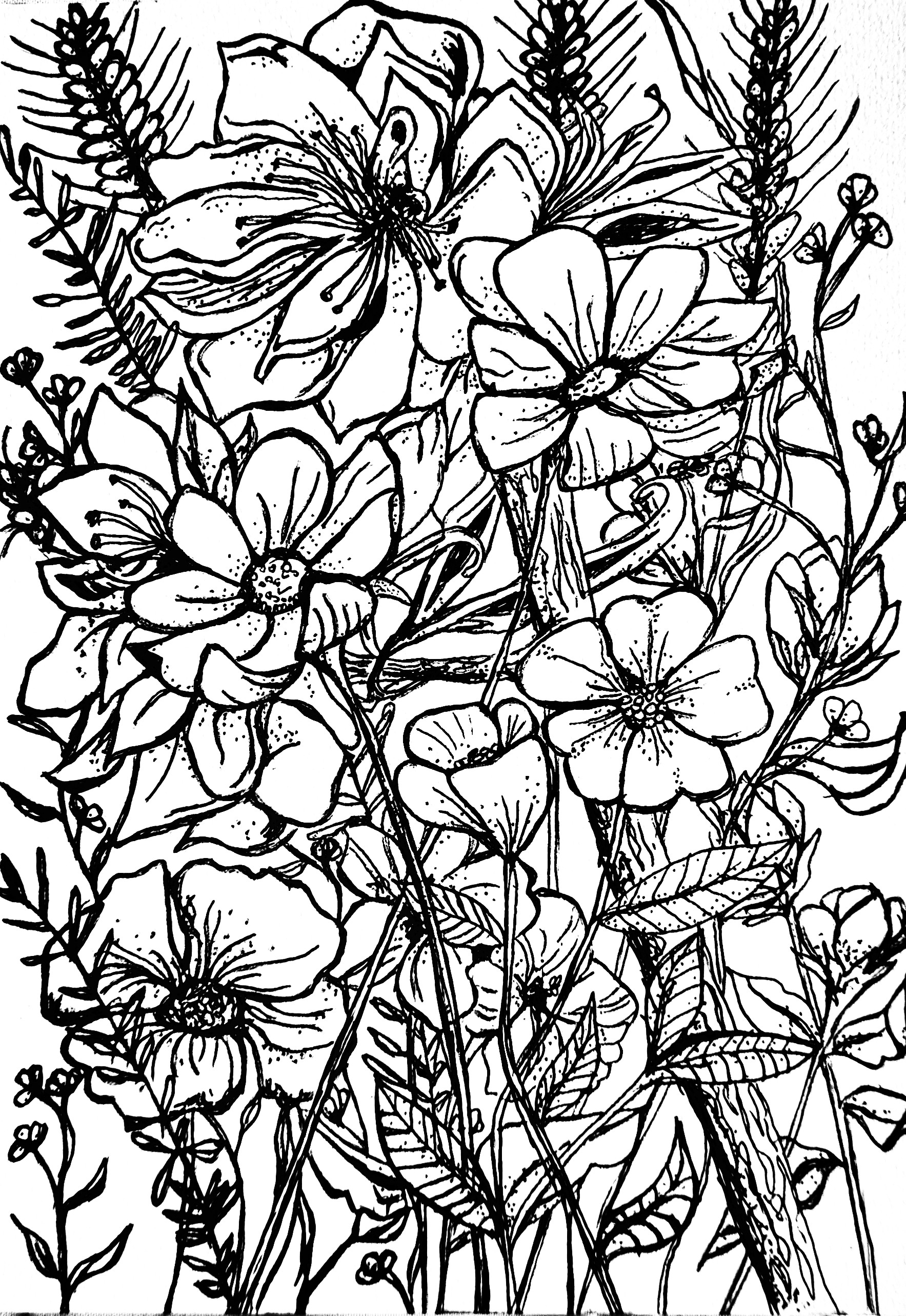 Mixed wild flowers ink drawing