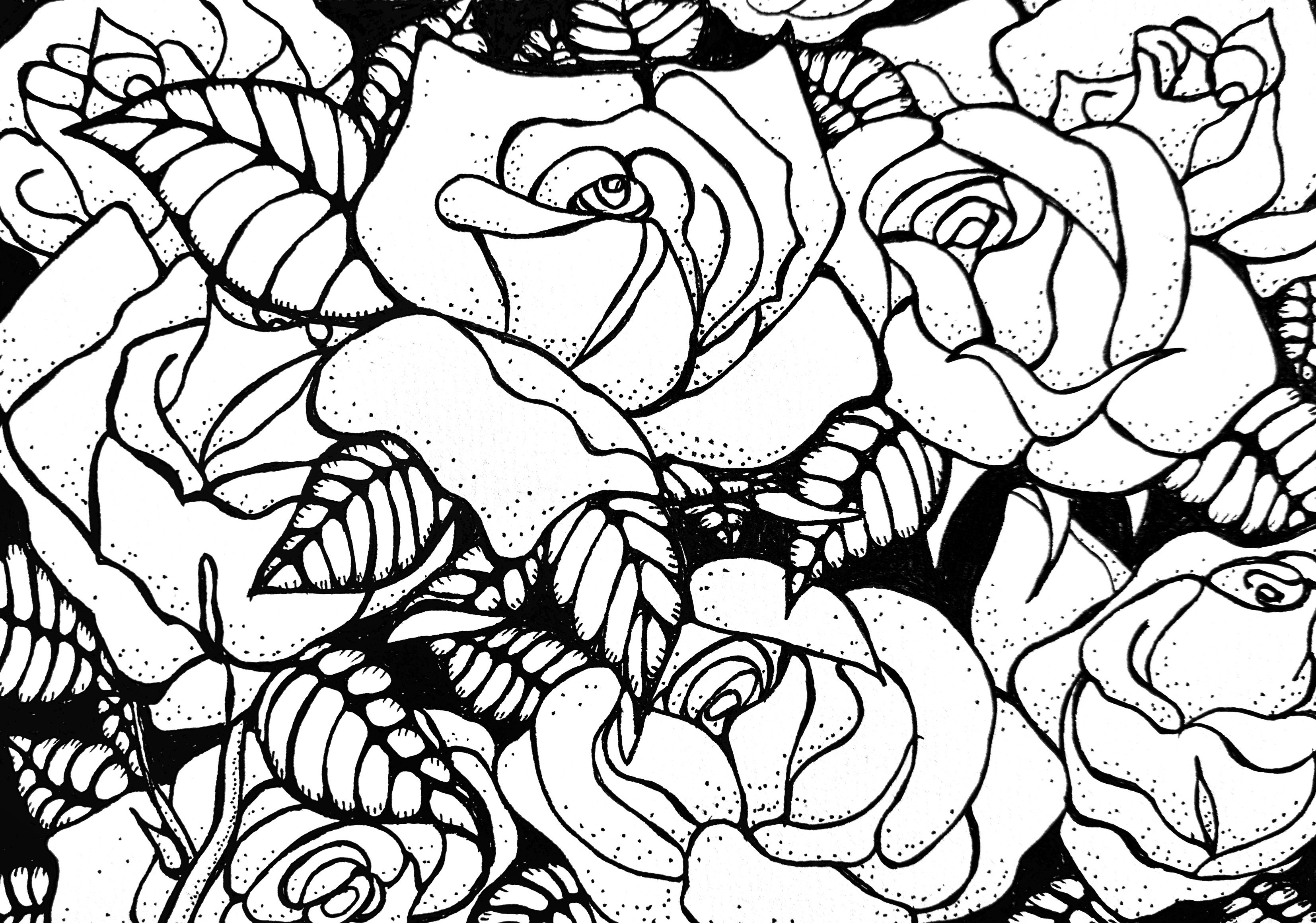 Roses ink drawing