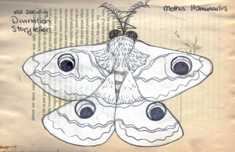 Mothus Homunculus - She Moth illustration