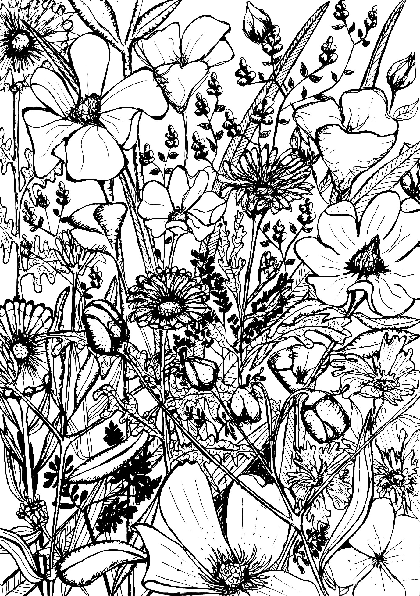 Wild flowers again ink drawing