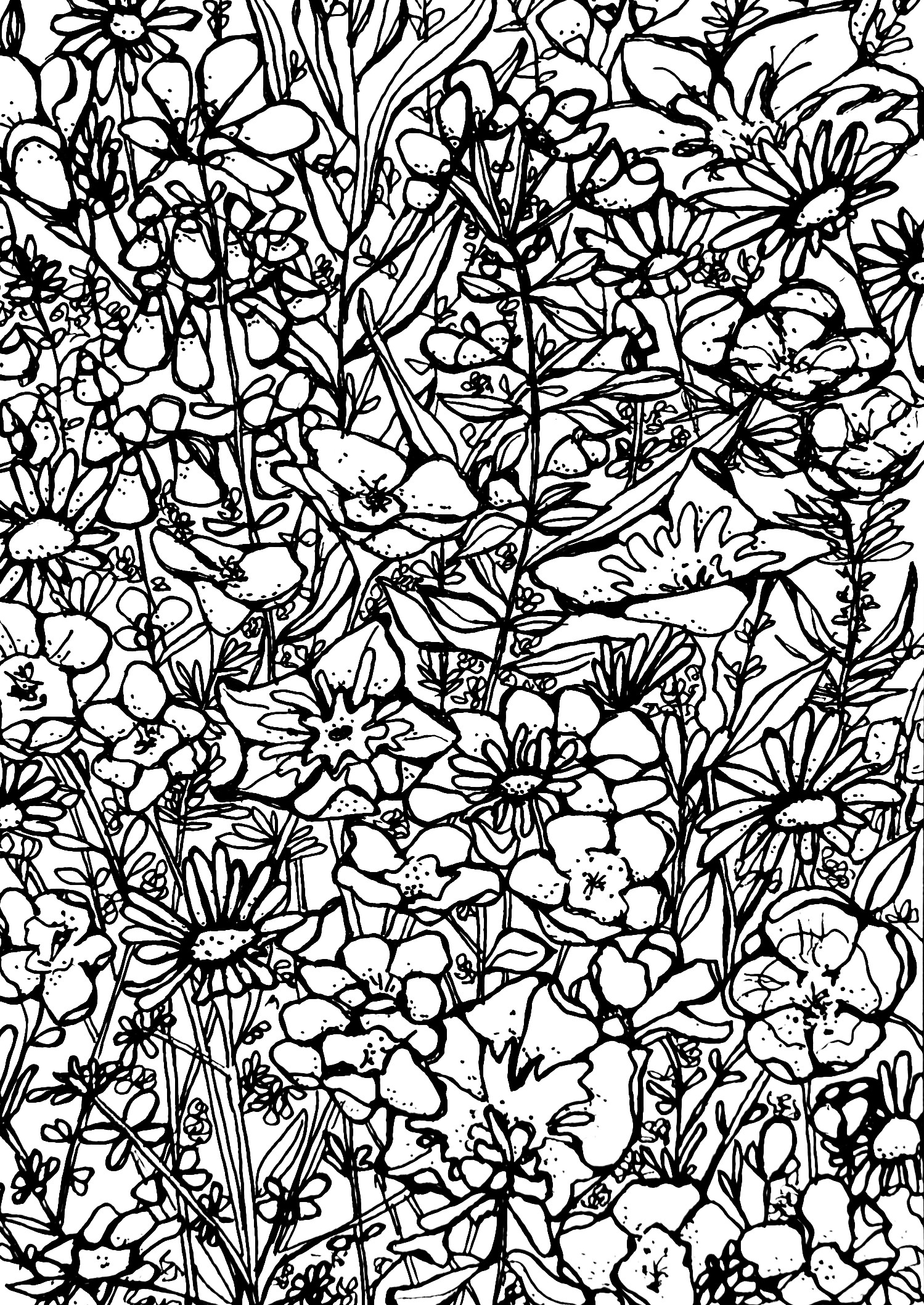 Wildflowers ink drawing